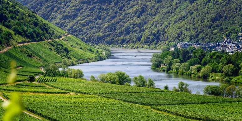 Route des vins : qu'est-ce qui fait de la Bourgogne une région si spéciale ?